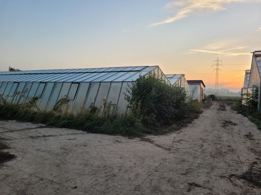 Wo kommt unser Gemüse her?