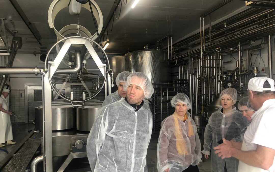 MILA Käseexpedition im Bregenzerwald