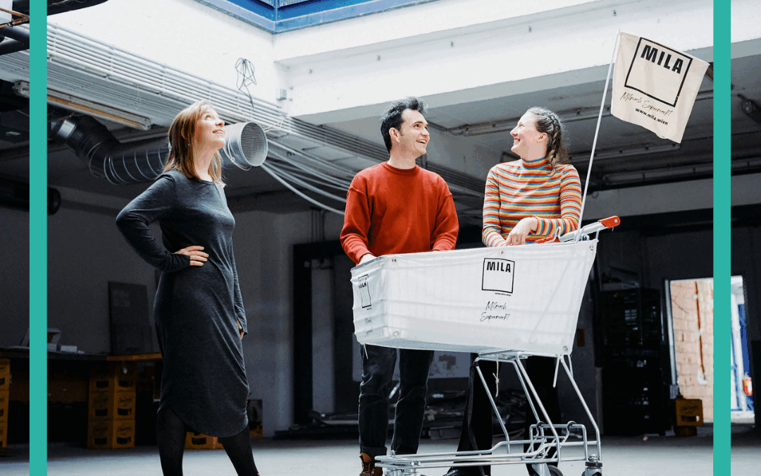 Drei spannende Volontariate ausgeschrieben!